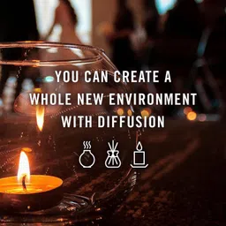 signamio 10ml Aroma Oil Set for Diffuser - 10 Fragrance Bottles Pack for Home & Spa Aroma Oil image 5