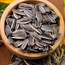 silba Sunflower Seed, Surajmukhi Seed Seed image 2