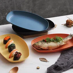 takositio Tray Plates Reusable Set Lightweight Dishwasher Safe Deep Plates for Kitchen Dinner Plate image 5