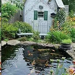 diamond america Rubber Heavy Sheet Black (25 ft x 10 ft) 500 GSM Tent - For Fish Pond Liner Garden Pools HDPE M image 2