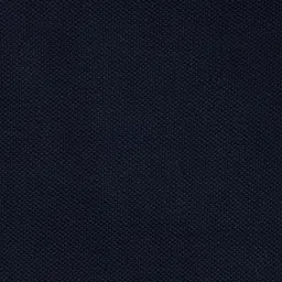 Pantaloons Baby Boys Navy Blue Polo Collar Pure Cotton Applique T-shirt image 4