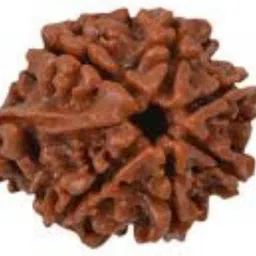 aurra stores 100 % Original & Natural Seven Face / 7 Mukhi Rudraksha With JGL Lab Certified Wood Pendant-picture-14