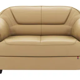 durian Berry compact Leatherette 2 Seater Sofas in Beige Colour image 5