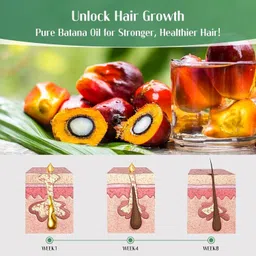 elixir of the forest BATANA 15 image 4