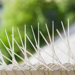 all dimensions Bird Spike image 2