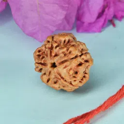 divine rudras Rudraksha 5 Mukhi Pendant Silver Pendant-picture-33