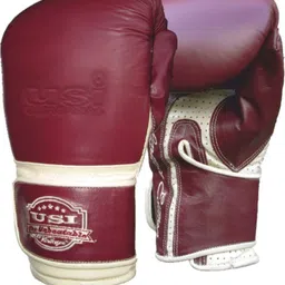 Boxing Gloves , Punching Gloves , Punching Gloves For Men , Heavy Bag Gloves (L) Boxing Gloves-image-58