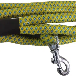 JAPIN Nylon Rope Dog Leash for Large/ Medium Sized Dogs with Strong Hook (12mm) 150 cm Dog Strap Leash image 4