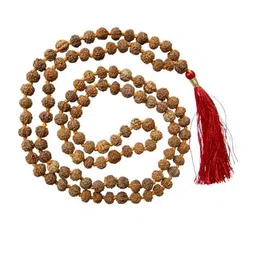 RAVIOUR LIFESTYLE Unisex Brown Necklace and Chains-picture-25