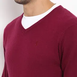Red Tape Men Wine-Coloured Solid Sweater image 4