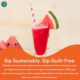 ECO SOUL [6 MM, 100 Count] Biodegradable Multicolor Paper Straws | Disposable Drinking Rainbow Eco-Friendly Compostable Paper Straws | Cocktail Cold Drink Juice Smoothie Non-Bendable Straws (Regular) image 5