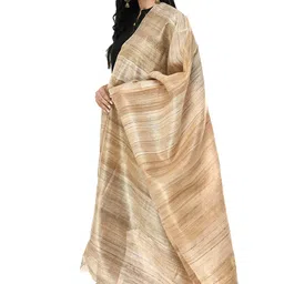 moeza Women's Pure Tussur Ghichcha Silk Beige Dupatta, Pack of 1, MFD0190 image 3