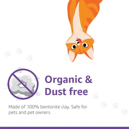 Amazon Basics Scoopable Smart White Bentonite Scented Cat Litter | 10 Kg | 5 Kg X 2 Packs | Organic | Bentonite From Turkey | Dust-Free | Lavender Fragrance image 2