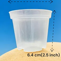 Transparent Clear Nursery Pot 2.5 inch Small Small Size Seedling Pot Planter Pac of 30 image 5