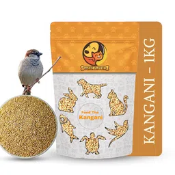 Foodie Puppies Foxtail Millet Kangni Seeds Bird Food - (1Kg, Pouch), High-Fiber Balanced Nutritious Daily Diet for All Bird Types image 1