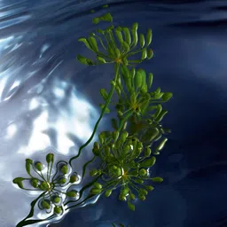 Davidoff Men Cool Water Reborn For Him Fresh Eau De Toilette 125Ml image 5