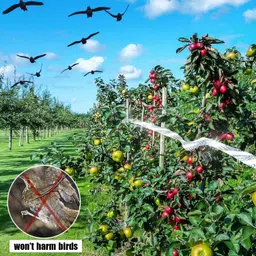 YELONA Bird Repellent Scare Tape - Holographic Ribbon for Effective Bird Deterrent - 2.4cm x 100m image 2