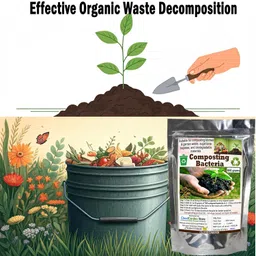 tsr garden store Composting Bacteria 1.7 Kg (850 + 850 Gms) Contains Both Fungi And Bacteria Convert All Kitchen Waste, Hotel And Farm Waste To High Nutritional Compost Manure Powder For Garden Plant image 4