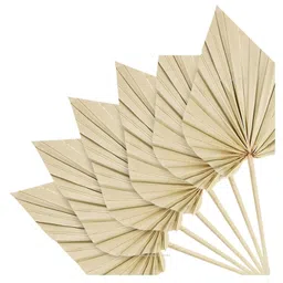 SPHINX Natural Dried Palm Leaf Sticks - Boho Theme Décor, Dried Flora for Ceramic Vases, Home Decoration, Craft & Bouquet Making Supplies (Natural Color, Big Spear Shape, 5 Pcs) image 2