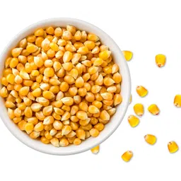 Groshaat Makka Popcorns (Popcorn Kernels)- 5Kg Pack Rich in VitaminB12 Energy enhancer Rich in folic acid Rich in iron image 3