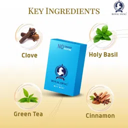 ROYAL SWAG Ayurvedic & Herbal Cigarette, Mint Flavour Smoke for Nicotine Free & Tobacco Free Cigarettes with Shot Helps in Quit Smoking - (20 Sticks Pack, Shot -1) image 3