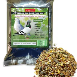MASHKI Food Mix for Pigeon & Dove (All Types) Multigrains,Seeds,Maize and Other Essential Ingredients Seeds Mix (5) image 1