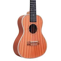 Waxwing Ukelele 24 inches solid wood 4 string with bag image 4