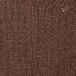 allen solly Men Acrylic Blend Classic Round Neck Sweater image 4