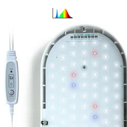 MYADDICTION Hydroponics Growing System Balcony Water Pump Canola Indoor Gardening System image 4