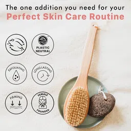 amzgear Dry Brushing Body Brush - Long Handled Exfoliating Brush, Body Brush, Dry Brush for Cellulite and Lymphatic Drainage Massager, Body Scrubber Shower Brush for Back, Skin (1 Pk) (pack of 1) image 4