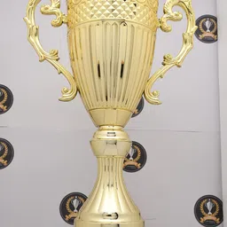 Trophy Golden Fiber Big Open Cup image 2