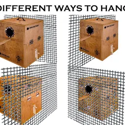 crib factory Perfect Breeding Box for Cockatiel Birds | HIGH-QULTY Plywood | 10X10X12 INCH | Designed for Cockatiel (with Two Tray) image 5