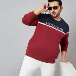 austivo Man Striper Sweatshirt image 4