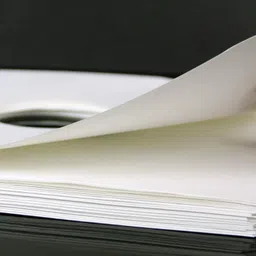 loom tree 20x Vinyl Record Inner Paper Sleeves for LP Records Storage Record Protecter | Storage & Media Accessories image 2