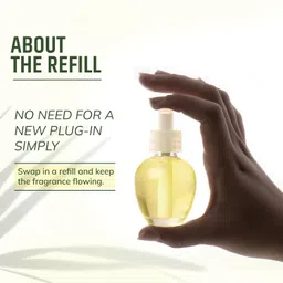 Aromahpure Plug-In Air Freshener Refill (30 ml) | Citrus Symphony Fragrance | Fragrance Refill Lasts Up to 30 Days | Home & Office Air Freshener | Ideal for Living Rooms, Bedrooms, Bathrooms image 3