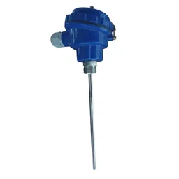 VIGITAL - BRAND RTD (PT100-SIMPLEX) HEAD TYPE SENSOR WITH 6MM DIA, 300mm LENGTH With 1/2" BSP FIX THREAD (300MM) image 1