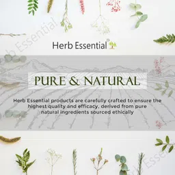 Herb Essential Seena Leaf Powder 100g image 3