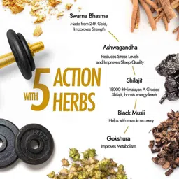 Kapiva Shilajit/Shilajeet Gold Resin - 40g | Super Saver Pack | 500mg/Serving | 80 Servings | Boost Muscle Growth & Stamina | Contains 24 Carat Gold | 100% Ayurvedic image 3