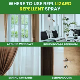 generic IQNEX Herbal Lizard Repellent Spray - 200ml | 100% Herbal and Chemical free | Peppermint Oil | Effective on all types of Lizards image 5