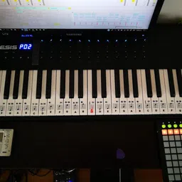 palap Extra Large Piano Removable Sticker Labels for Large Key Keyboards and Piano! image 5