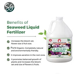 sansar green Sansar Green® Seaweeds Liquid Fertilizer for All Indoor and Outdoor Plants. 1000 ml image 2