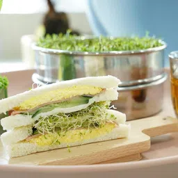 LOOM TREE Stainless Steel Seed Sprouting Kit Sprouting Tray for Broccoli Beans Alfalfa 2 mesh Plate Set image 5