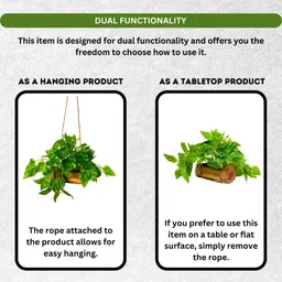 fancymart Artificial Money Plant with Woodlog Pot with Height 18 cm use as a Hanging or Tabletop for Home & Office Décor image 3