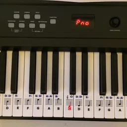 palap Extra Large Piano Removable Sticker Labels for Large Key Keyboards and Piano! image 4