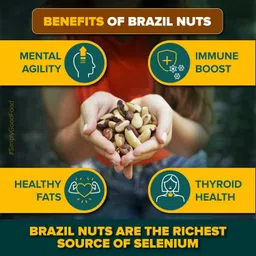 Urban Platter Brazil Nuts, 250g (Rich in Selenium | Superfood | Have 1 Daily | Product of Peru) image 5
