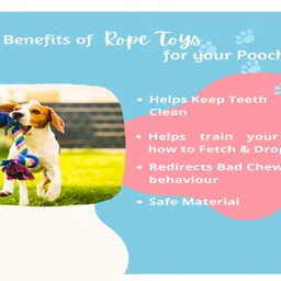 agirav Tail Dog Toys + Dog Chew Toys + Rope Toys + Dog Toys for Small to Medium Dog + Tug Toy + Dog Toy Pack of 7 image 5