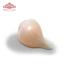 mitaksi crafts - crafts and artisans - crafting your curiosity MITAKSI Crafts Bhajnewala || Vamavarti || Blowing Sankh || Size – 13 cm image 4