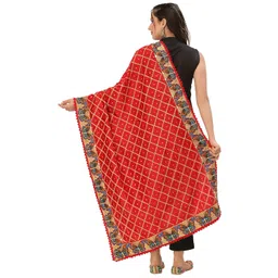 pashtush Womens Dupatta with Embroidered Buttlerflies image 4