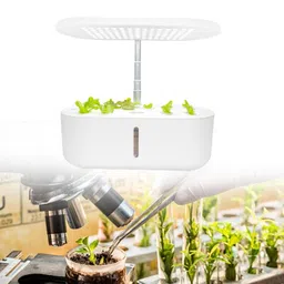 MYADDICTION Hydroponics Growing System Garden Planter for Harvest Vegetable Lettuce Home White image 5