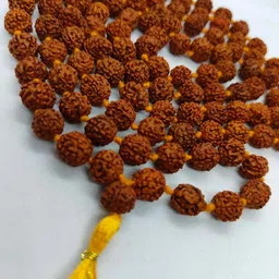 PRIYA BEADS Original 9 Mm 5 Mukhi Rudraksha Jaap Mala for Pooja (Astrology) (108+1 Beads) Pure & Authentic - Brown | Natural Rudraksh Mala for Women Wearing, Meditation image 3